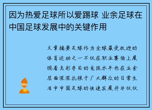 因为热爱足球所以爱踢球 业余足球在中国足球发展中的关键作用